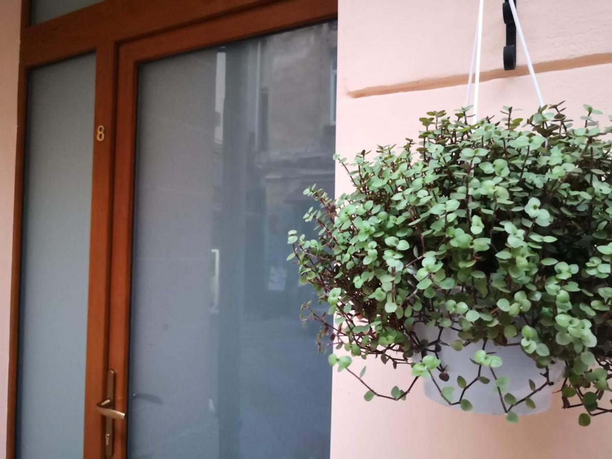 Затишні Апартаменти, Вулиця Дерибасівська, 13 Odesa Exterior photo